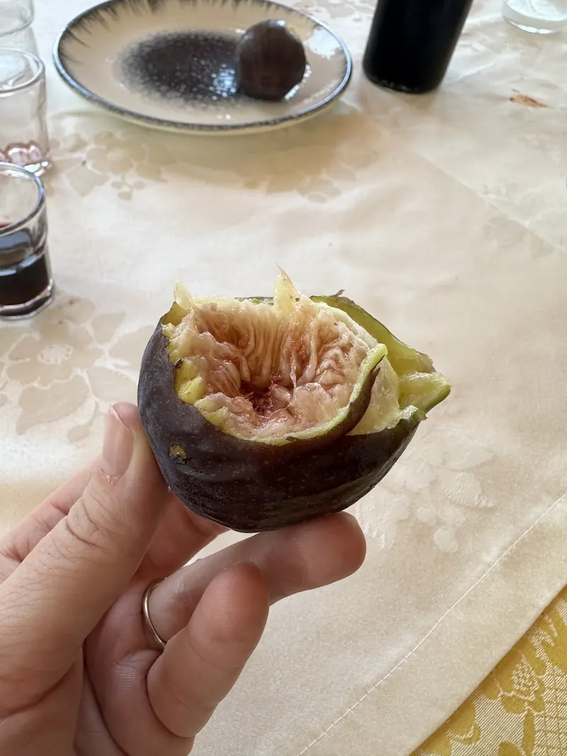 A ripe fig broken open in a hand