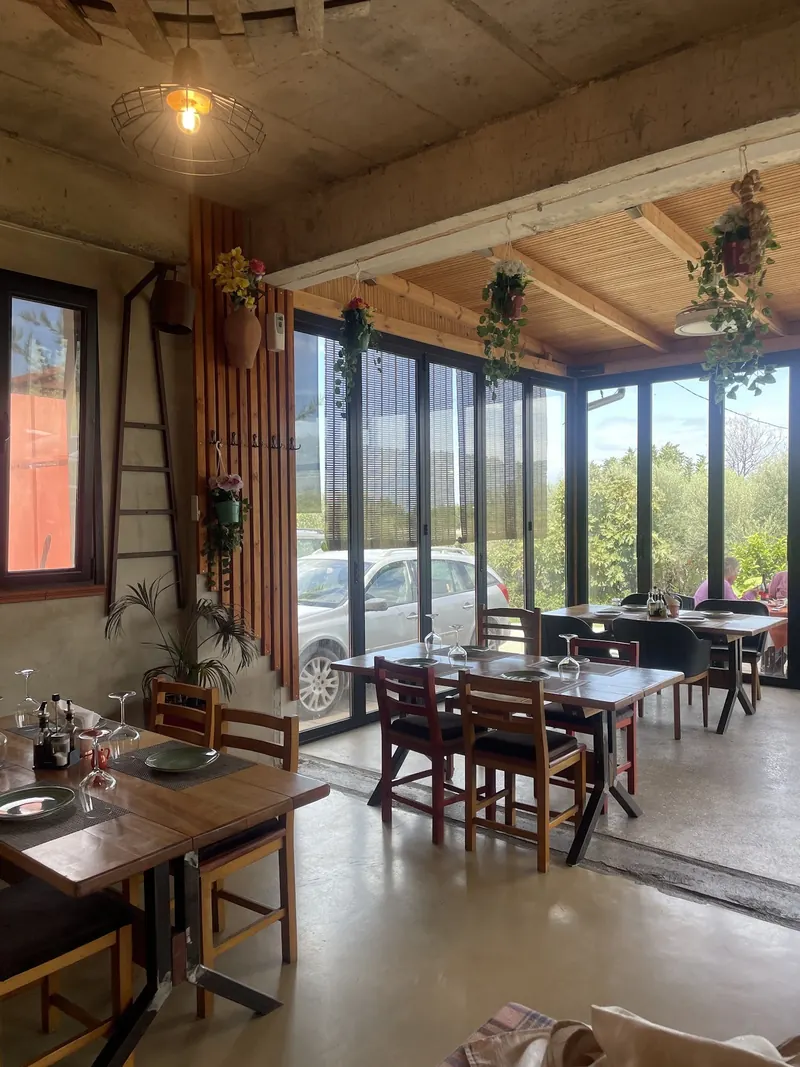 Wooden veranda ceiling with hanging plants and tables